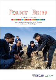 CSAM Policy Brief (Issue No.3, November 2020): Integrated Management of Straw Residue in the Asia-Pacific Region